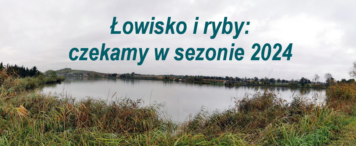 PANO_1x7 PANO_1x7